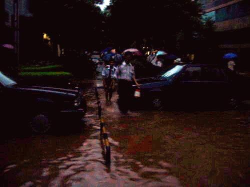 爆料广州暴雨最新消息视频,城市应对极端天气挑战纪实  第2张